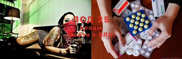 ECSTASY Кукмор