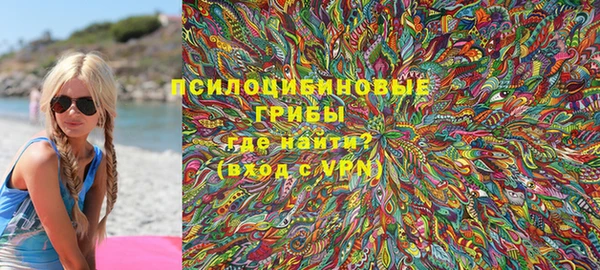ECSTASY Кукмор