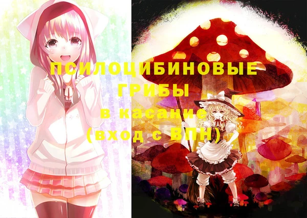 ECSTASY Кукмор