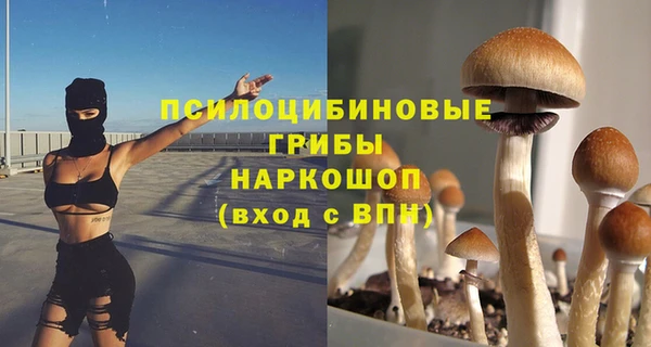 гидропоника Кулебаки