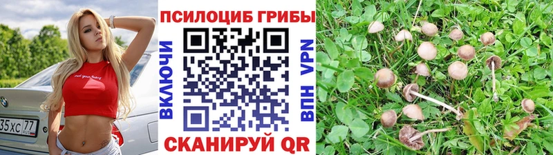 маркетплейс Telegram  Чекалин  Псилоцибиновые грибы MAGIC MUSHROOMS 